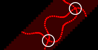 The segment with two circled points where neighbouring copies of the path overlap
